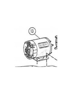 Replacement Motor for Promega II Pool Pump 3/4 - 1 HP