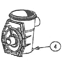 1/4" Pipe Plug for Promega I & II Pumps 