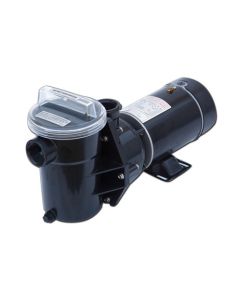 Embassy 1 HP High Performance Pump - 115 V w/ 6' Cord 