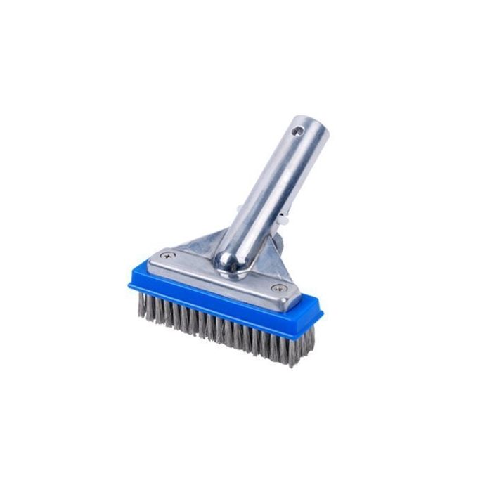 Algae Brush - 5 Inch 