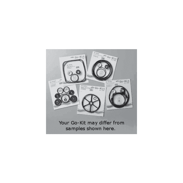 Go-Kit 25 for Sta-Rite PE & PEA Series P2R & P2DRA/AJ Series 