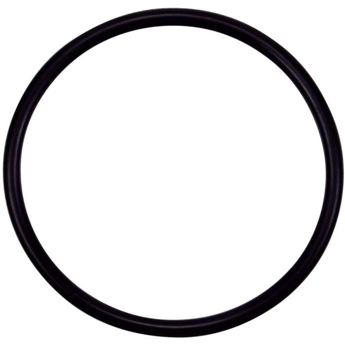 Pentair Challenger Pump O-RING - STRAINER POT FLANGE  