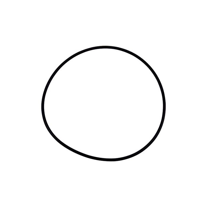 Pentair Whisperflo Pump O-RING, AQ/WFE COVER replacement 