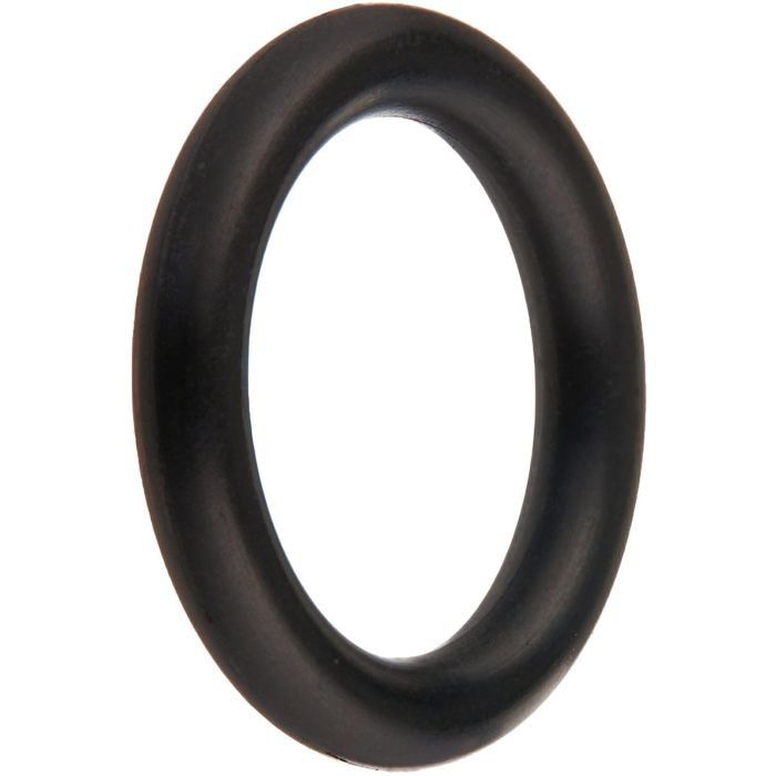 Polaris Booster Pump PB4-60 O-RING FOR SHAFT replacement 