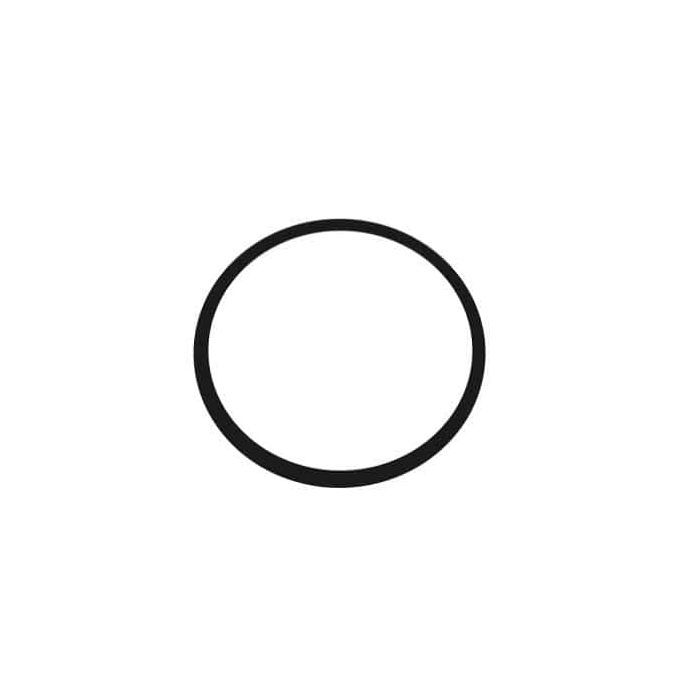 Tank O-Ring Gasket - Embassy & Lomart Sand Filter 