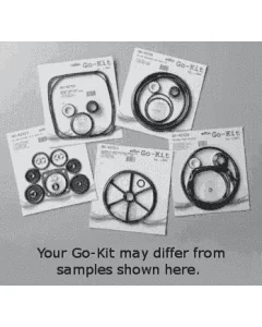Go-Kit 6 for Sta-Rite P2RA & P2R Dura-Glas / Maxi-Glas Pump Kit 