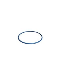 Hayward Housing O-Ring