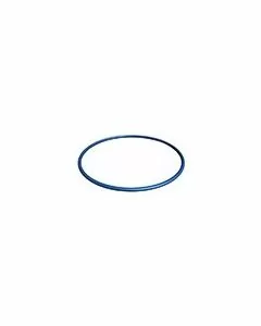 Hayward Housing O-Ring