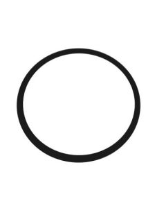 Hose Adaptor O-Ring for Ultra Promega and Promega III Pumps  