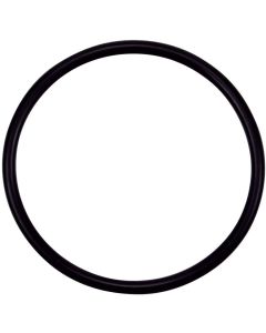 Pentair Challenger Pump O-RING - STRAINER POT FLANGE  