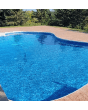 Salta Full Print Pearlescent Finish Inground Liner by Freetime Fun 20 MIL 