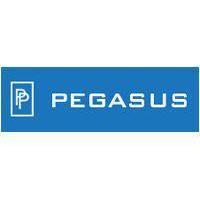 Pegasus Products, Inc.
